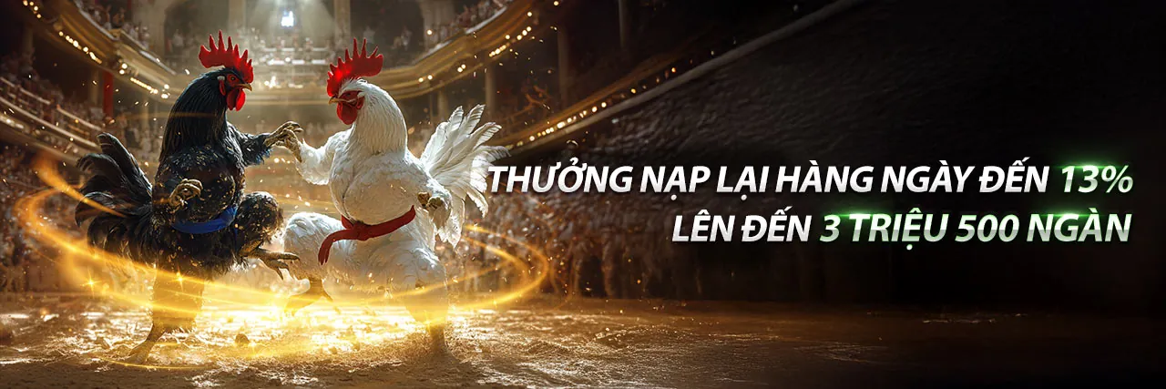 Đấu trường đá gà trực tuyến kịch tính tại helo888 nhà cái